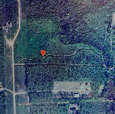Tbd Ne 125th Ave, Fort McCoy, FL 32134