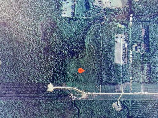 Tbd Ne 125th Ave, Fort McCoy, FL 32134