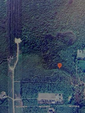 Tbd Ne 125th Ave, Fort McCoy, FL 32134