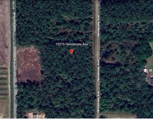 10275 Hennessey, Hastings, FL 32145