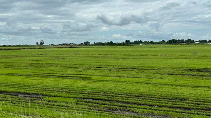 400 State Road 80, Belle Glade, FL 33430