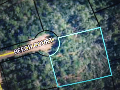 000 Beech, Alford, FL 32420