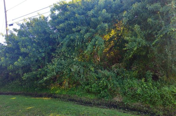 5550 Lundy, Port Saint Lucie, FL 34986