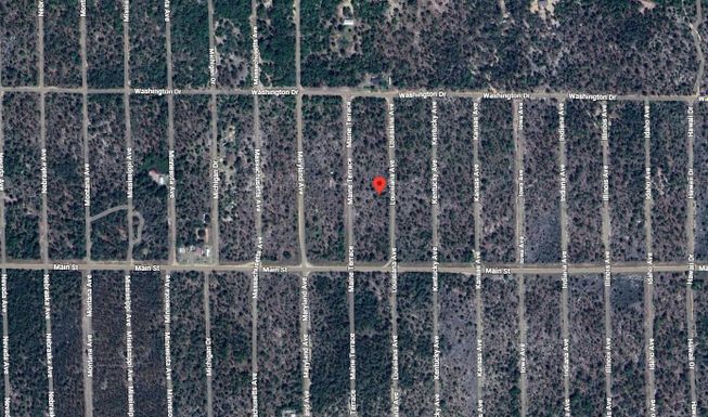218 Louisiana, Hawthorne, FL 32640