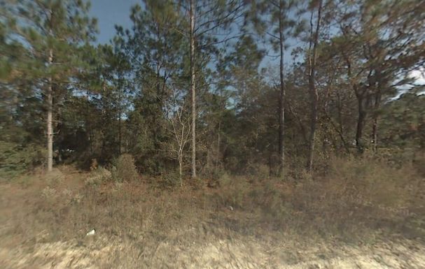 Tbd 167th, Ocala, FL 34481