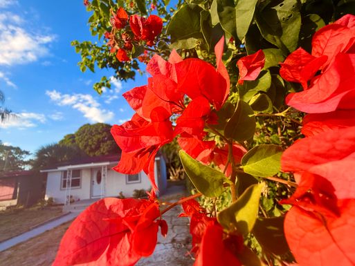 1093 Highview, Lantana, FL 33462