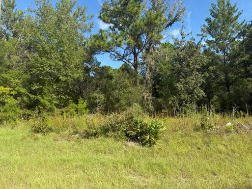Tbd 79th Terrace, Dunnellon, FL 34432