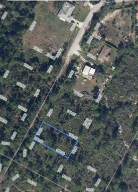 1503 Rutledge, Lake Placid, FL 33852