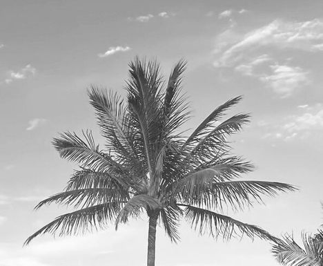 11465 Old Harbour, North Palm Beach, FL 33408