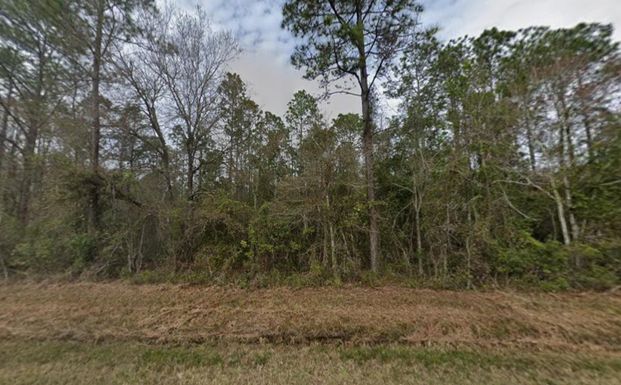 4300 Nancy, Hastings, FL 32145