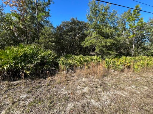 632 Dunkenfield, Crystal River, FL 34429