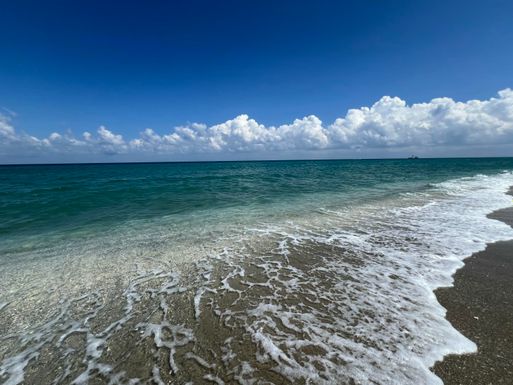 5420 Ocean, Singer Island, FL 33404