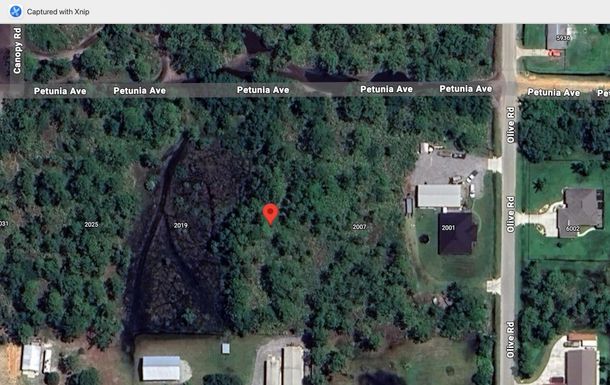 2013 Petunia, Sebring, FL 33875