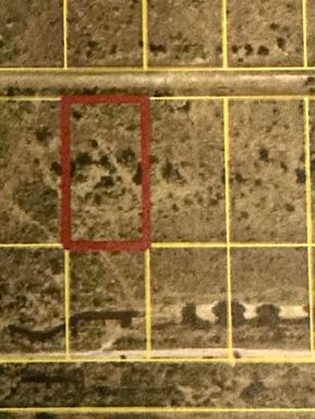 22076 242nd, Okeechobee, FL 34972