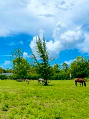 12398 Tangerine, West Palm Beach, FL 33412