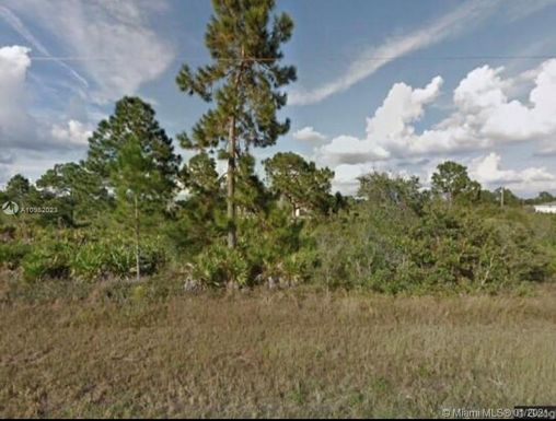 2902 SW 30th street, Other City - In The State Of Florida FL 33976