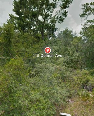 115 DELMAR AVE, Lake Placid FL 33852