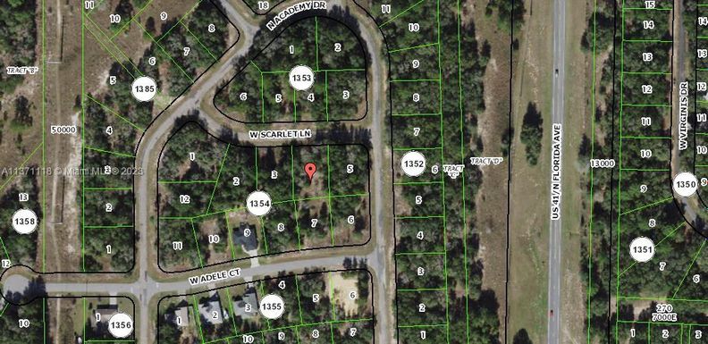1384 W Scarlet LN, Other City - In The State Of Florida FL 34434