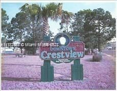 0 TULIP AVE. Crestview, Other City - In The State Of Florida FL 32539