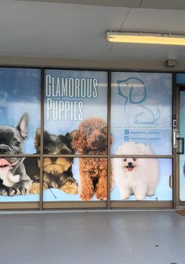 10869 SW 40th St, Miami FL 33165