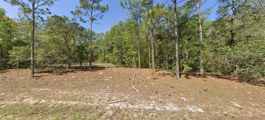 9654 N DEARING LOOP, Other City - In The State Of Florida FL 34434