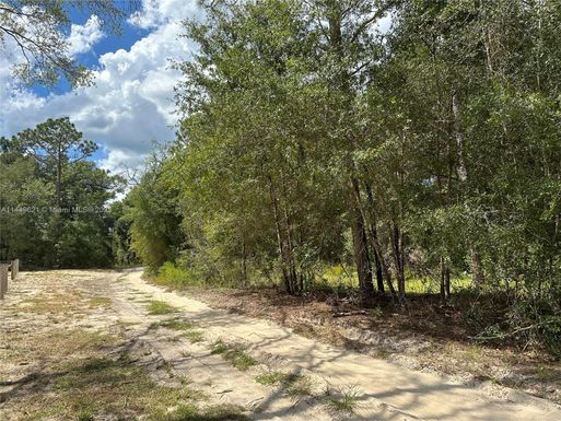 93 SW Place, Other City - In The State Of Florida FL 34432