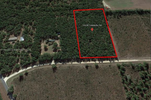 233 NE Calabazilla Trl, Lee, Other City - In The State Of Florida FL 32059