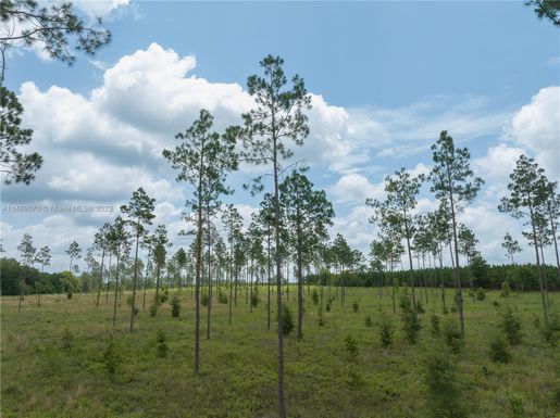 TBD County Road 249, Other City - In The State Of Florida FL 32060