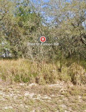 2080 W FALCON RD, Other City - In The State Of Florida FL 33825