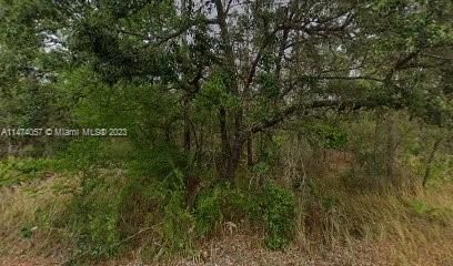 7343 HELSINLI, Other City - In The State Of Florida FL 34433