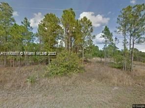 203 N Horseclub Ave, Clewiston FL 33440