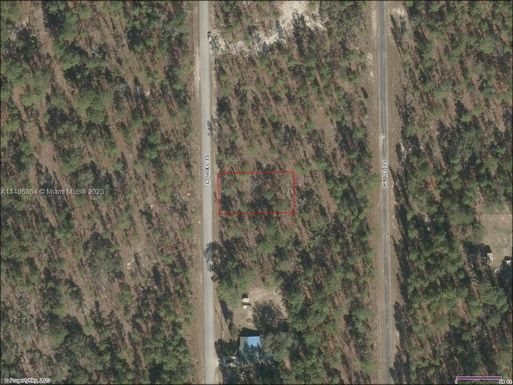 Lot 49 SE 130th Cr, Other City - In The State Of Florida FL 34431