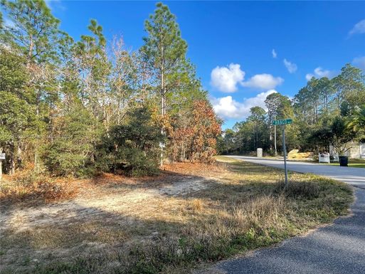 3279 W Talinum PL, Other City - In The State Of Florida FL 34433