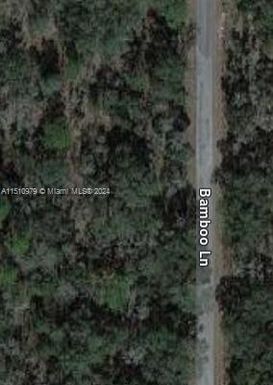 SW BAMBOO LN, DUNNELLON, SW BAMBOO LN, DUNNELLON, Florida 34432, Other City - In The State Of Florida FL SW BAMBOO