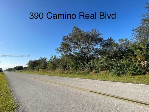 390 Camino Real Blvd, Clewiston FL 33440