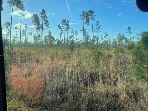 Unassigned Location R N loop road, Other City - In The State Of Florida FL 32331