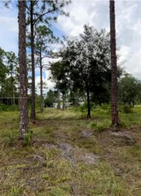 890 tampa, Clewiston FL 33440