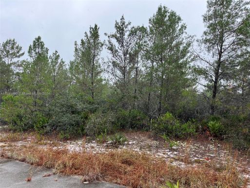 3330 LIANE (AKA PINE KNOLL) ROAD, Other City - In The State Of Florida FL 33852