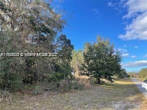 00000 SW 147TH Loop, Other City - In The State Of Florida FL 34473