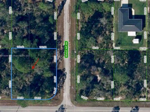 320 Beagle Ave NW, Lake Placid FL 33852