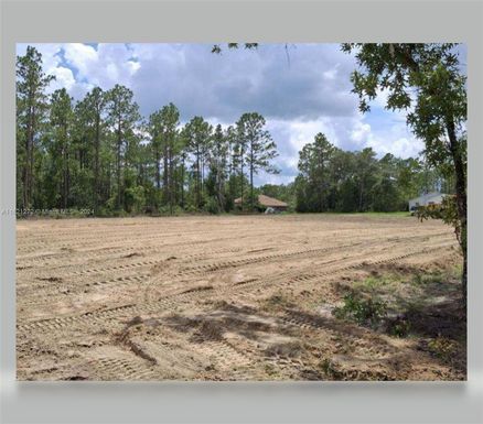 TBD SW 137th Court Road, Ocala FL 34481