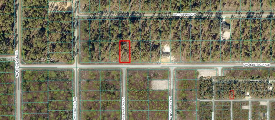 TBD NW Amberjack Ave, Other City - In The State Of Florida FL 34431