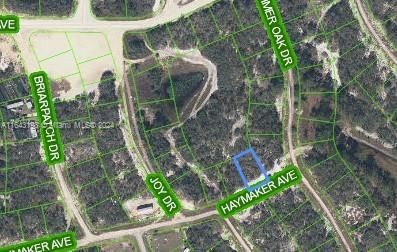 496 HAYMAKER AVE, Lake Placid FL 33852