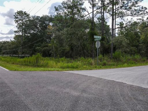 CORNER FIG TREE LANE AND INDIA HILL DRIVE, Other City - In The State Of Florida FL 34431