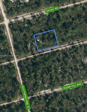 3047 Hollow Oak Ave, Lake Placid FL 33852