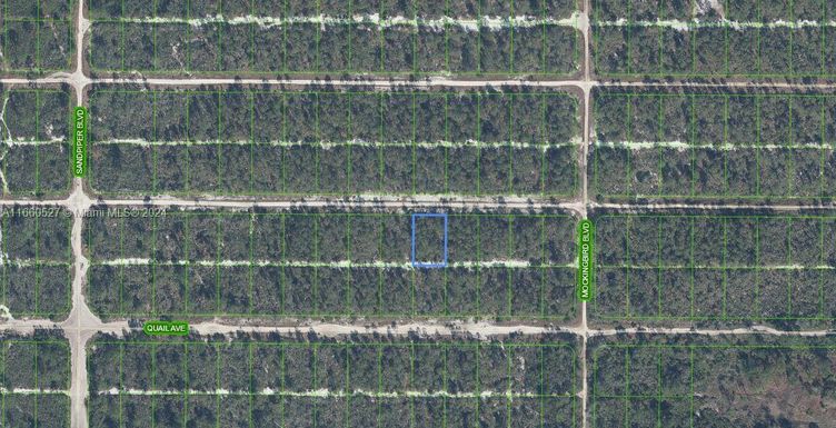 617 Parrot Ave, Sebring FL 33872