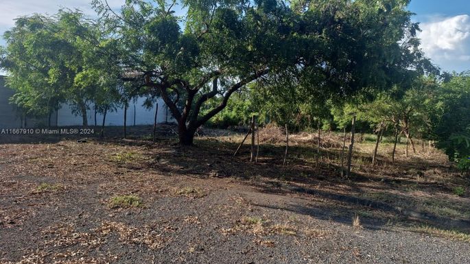 Puertas De Alicante, Carretera a Masaya, Nicaragua, MN