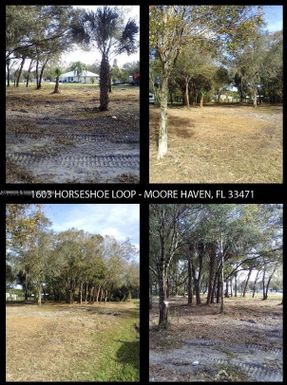 1603 HORSESHOE LOOP, Moore Haven FL 33471