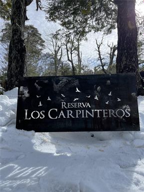 Los Carpinteros - Chile, CL