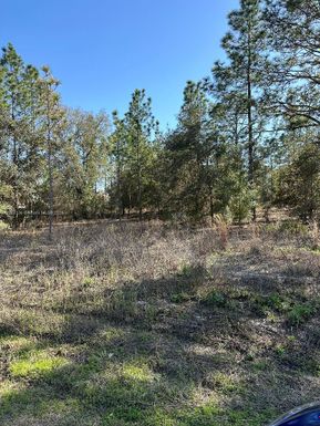 Southwest Admiral Landing Dr Dunnellon., Ocala FL 34431